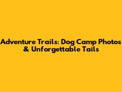 Adventure Trails: Dog Camp Photos & Unforgettable Tails