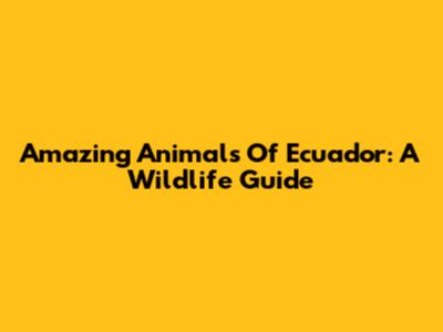 Amazing Animals Of Ecuador: A Wildlife Guide