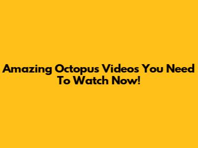Amazing Octopus Videos You Need To Watch Now!
