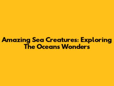Amazing Sea Creatures: Exploring The Ocean's Wonders