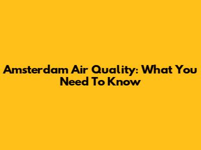Amsterdam Air Quality: What You Need To Know