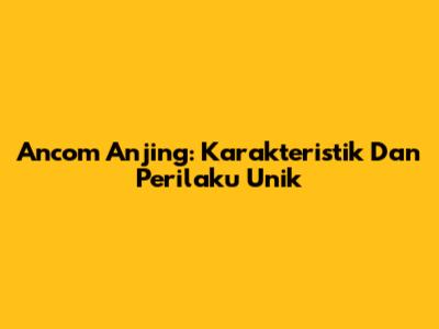 Ancom Anjing: Karakteristik Dan Perilaku Unik