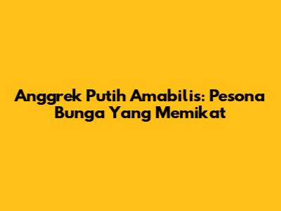 Anggrek Putih Amabilis: Pesona Bunga Yang Memikat
