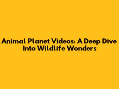 Animal Planet Videos: A Deep Dive Into Wildlife Wonders