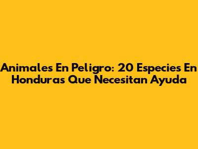 Animales En Peligro: 20 Especies En Honduras Que Necesitan Ayuda
