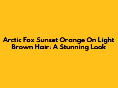 Arctic Fox Sunset Orange On Light Brown Hair: A Stunning Look