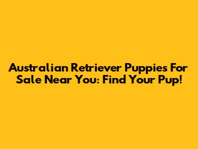 Australian Retriever Puppies For Sale Near You: Find Your Pup!