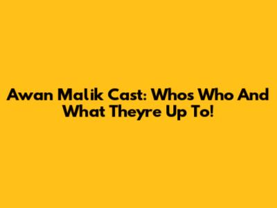 Awan Malik Cast: Who's Who And What They're Up To!