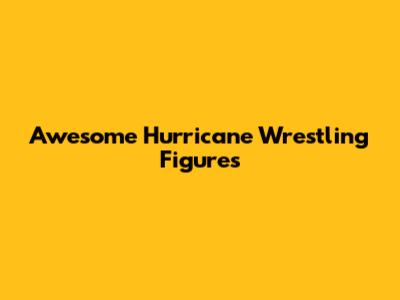 Awesome Hurricane Wrestling Figures