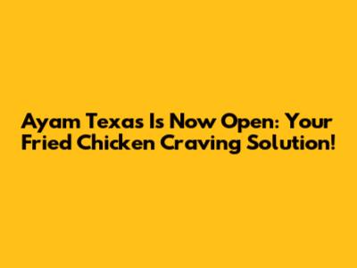Ayam Texas Is Now Open: Your Fried Chicken Craving Solution!