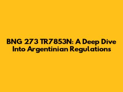 BNG 273 TR7853N: A Deep Dive Into Argentinian Regulations