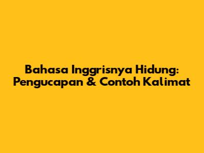 Bahasa Inggrisnya Hidung: Pengucapan & Contoh Kalimat