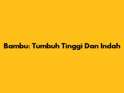 Bambu: Tumbuh Tinggi Dan Indah