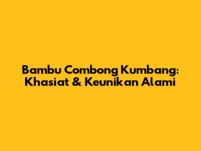 Bambu Combong Kumbang: Khasiat & Keunikan Alami