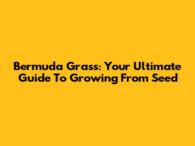 Bermuda Grass: Your Ultimate Guide To Growing From Seed