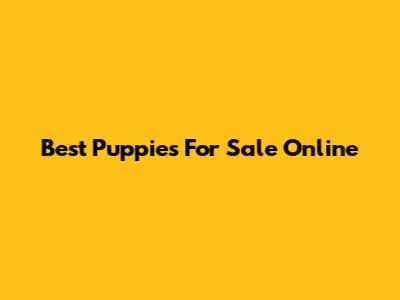 Best Puppies For Sale Online
