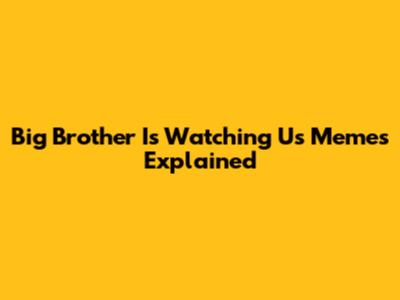 Big Brother Is Watching Us Memes Explained