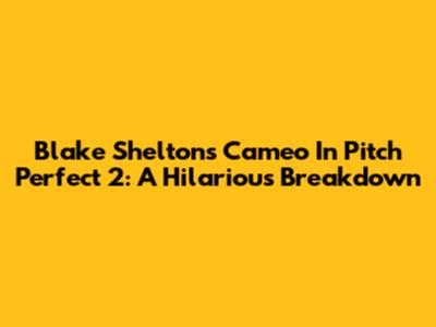 Blake Shelton's Cameo In Pitch Perfect 2: A Hilarious Breakdown