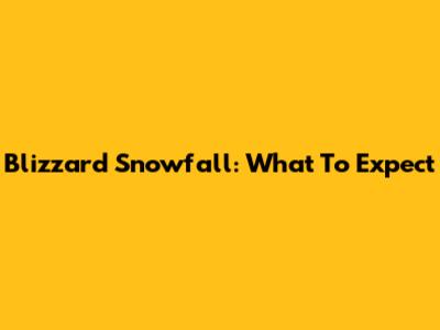 Blizzard Snowfall: What To Expect