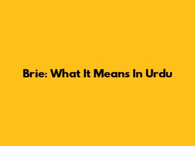 Brie: What It Means In Urdu
