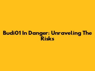 Budi01 In Danger: Unraveling The Risks