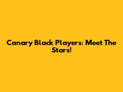 Canary Black Players: Meet The Stars!