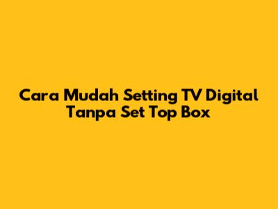 Cara Mudah Setting TV Digital Tanpa Set Top Box
