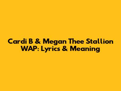 Cardi B & Megan Thee Stallion WAP: Lyrics & Meaning