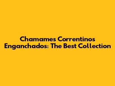 Chamames Correntinos Enganchados: The Best Collection