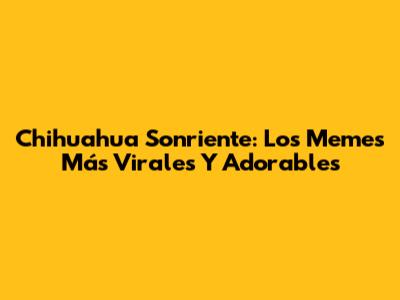 Chihuahua Sonriente: Los Memes Más Virales Y Adorables