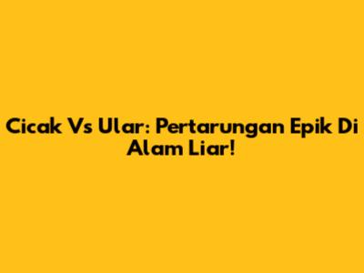 Cicak Vs Ular: Pertarungan Epik Di Alam Liar!