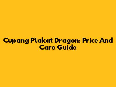 Cupang Plakat Dragon: Price And Care Guide