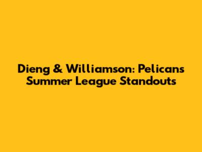 Dieng & Williamson: Pelicans Summer League Standouts