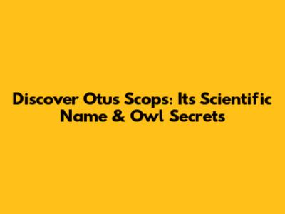 Discover Otus Scops: Its Scientific Name & Owl Secrets