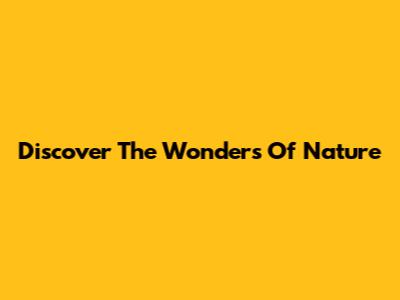 Discover The Wonders Of Nature