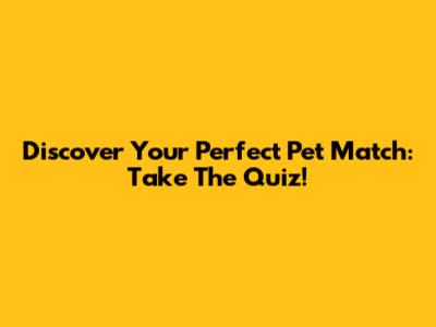 Discover Your Perfect Pet Match: Take The Quiz!
