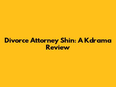 Divorce Attorney Shin: A Kdrama Review