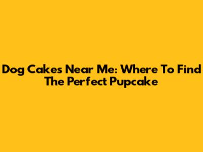 Dog Cakes Near Me: Where To Find The Perfect Pupcake