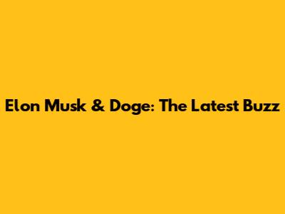 Elon Musk & Doge: The Latest Buzz
