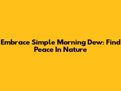 Embrace Simple Morning Dew: Find Peace In Nature