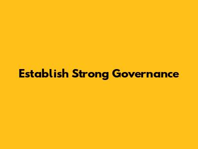 Establish Strong Governance