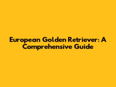 European Golden Retriever: A Comprehensive Guide