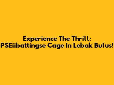 Experience The Thrill: PSEiibattingse Cage In Lebak Bulus!