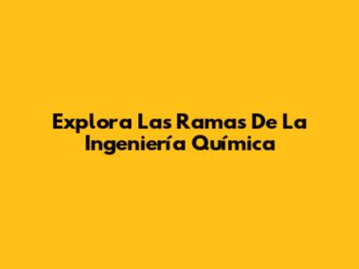 Explora Las Ramas De La Ingeniería Química