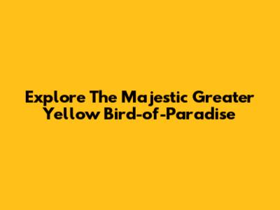 Explore The Majestic Greater Yellow Bird-of-Paradise