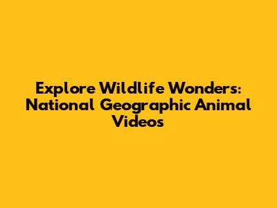 Explore Wildlife Wonders: National Geographic Animal Videos