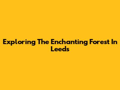 Exploring The Enchanting Forest In Leeds