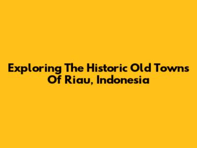 Exploring The Historic Old Towns Of Riau, Indonesia