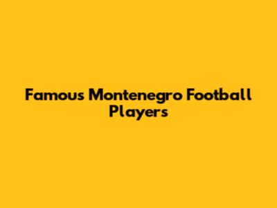 Famous Montenegro Football Players