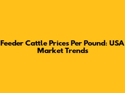 Feeder Cattle Prices Per Pound: USA Market Trends
